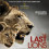 Картинка - Последние львы / The Last Lions
