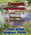 Постер Советы травницы: фитотерапия, травничество, нетрадиционная медицина.