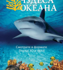 Постер Чудеса океана / Ocean Wonderland