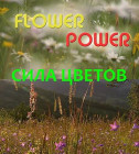 Постер Сила цветов