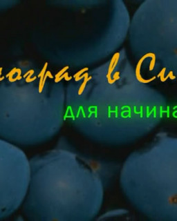 Виноград в Сибири для начинающих (Иванцов Д.В.) [2008 г., научно-популярный, DVDRip]