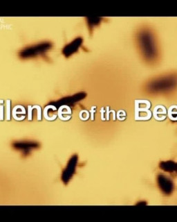 Молчание пчел / Silence of the Bees