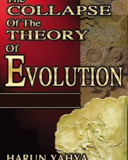 Крах теории Эволюции