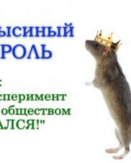 Крысиный король или "Эксперимент над обществом удался!"