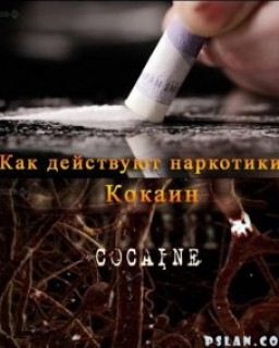 Как действуют наркотики.Кокаин