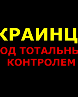 Украинцы под тотальным контролем (2013) DVDRip