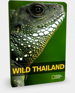 National Geographic: Дикая природа Таиланда / Wild Thailand