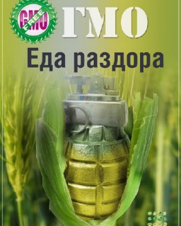 ГМО. Еда раздора