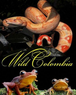Дикая Колумбия (3 серии из 3)