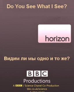 BBC Horizon: Видим ли мы одно и то же?
