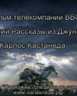 Рассказы из Джунглей. Карлос Кастанеда