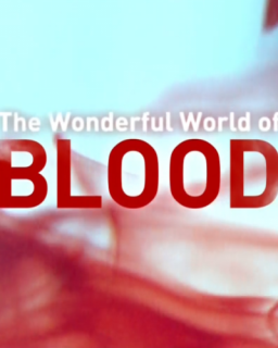 Удивительный мир крови 