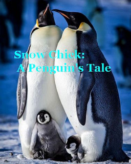 Заснеженный птенец или История одного пингвина 