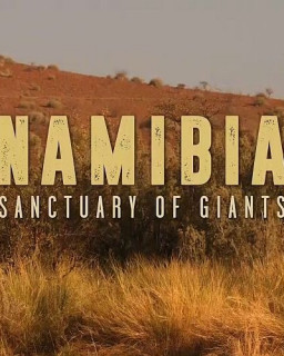 Намибия - убежище гигантов 