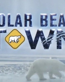 Город полярных медведей
