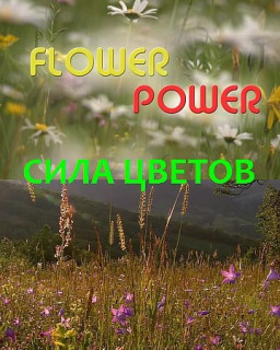 Сила цветов