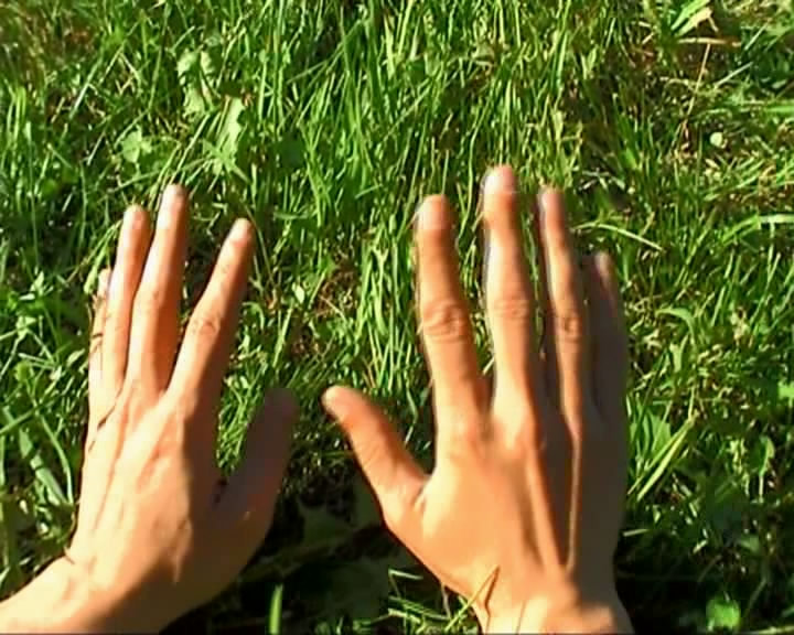 Скриншот 4 Руки твои,человек [2006, Документальный, TVRip]
