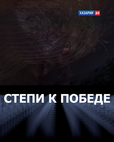 Постер СТЕПИ К ПОБЕДЕ