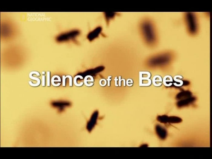 Постер Молчание пчел / Silence of the Bees