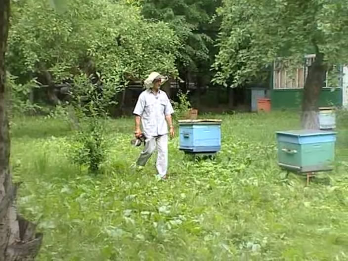 Скриншот 1 Люди и пчёлы (2 серии из 2) [2008, Документальный, DVDRip]