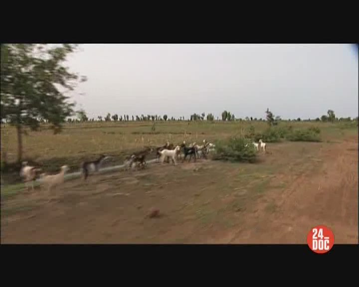 Скриншот 1 Фермеры на грани голодания / Farmers go hungry [2007, Документальный, DVDRip]