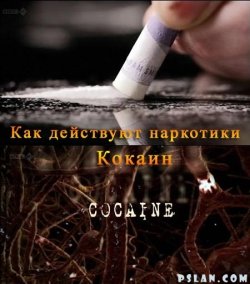 Постер Как действуют наркотики.Кокаин