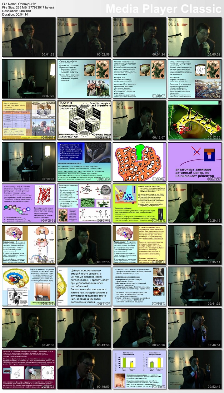 Скриншот 1 Мозг и наркотики: опиоиды, психостимуляторы, галлюцинагены