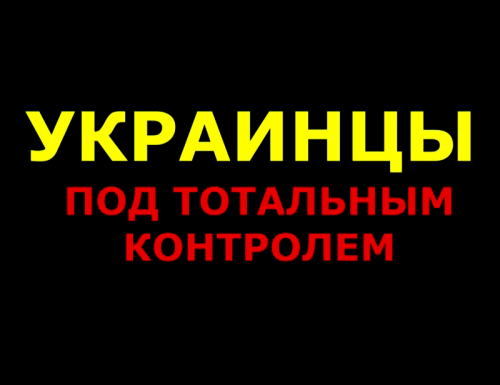Постер Украинцы под тотальным контролем (2013) DVDRip