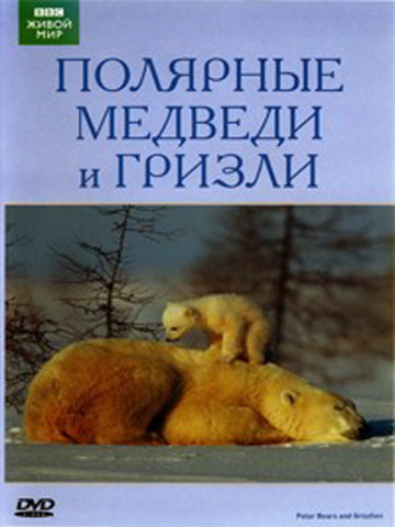 Постер BBC: Живой мир. Полярные медведи и гризли