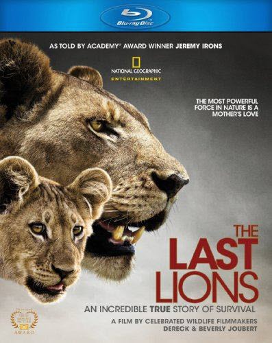 Постер Последние львы / The Last Lions