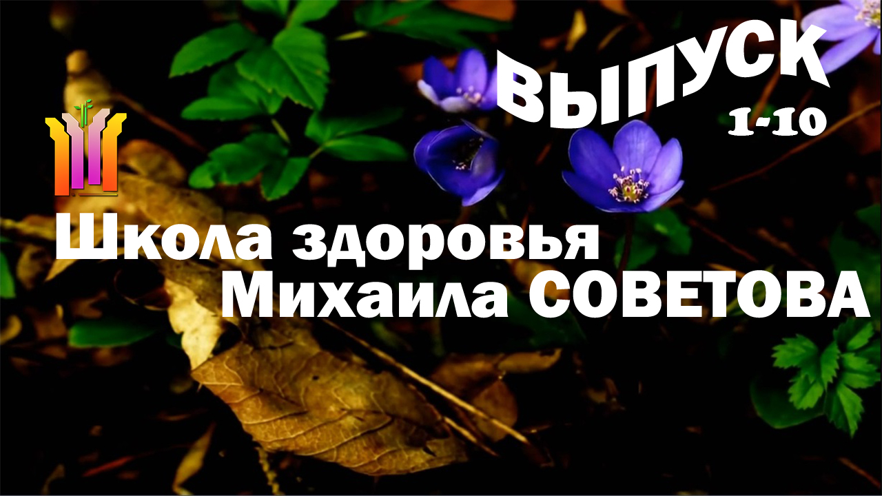 Постер Школа здоровья Михаила СОВЕТОВА (выпуски 1-10)