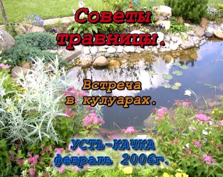 Постер Советы тюменской травницы
