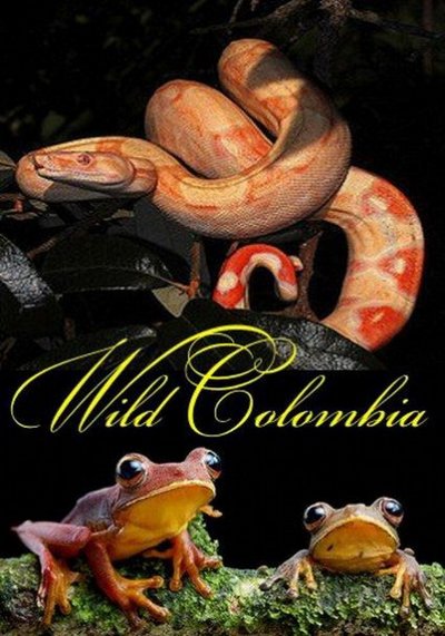 Постер Дикая Колумбия (3 серии из 3)