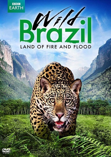 Постер Дикая Бразилия