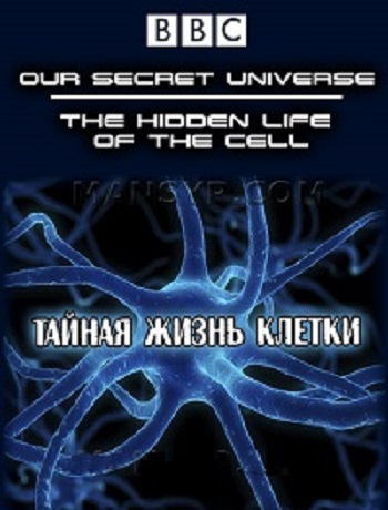Постер Тайная Вселенная. Путешествие внутрь клетки