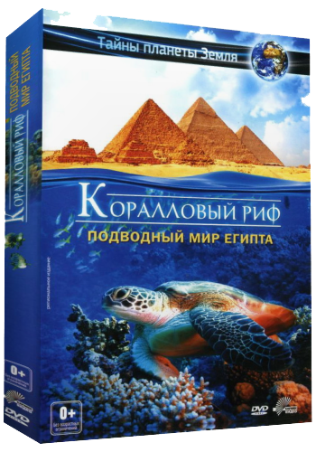 Постер Коралловый риф: Подводный мир Египта