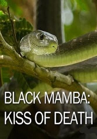 Постер Черная мамба: поцелуй смерти