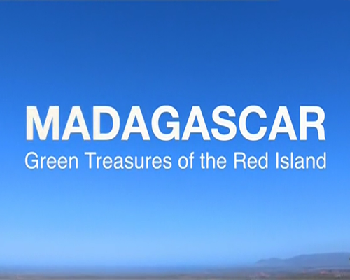 Постер Мадагаскар. Зеленые сокровища Красного острова