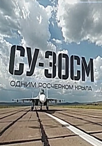 Постер Военная приемка. СУ-30СМ. Одним росчерком крыла