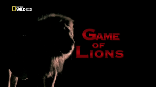 Постер Игры львов
