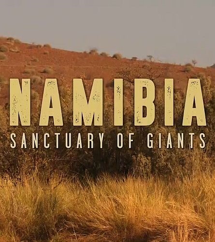 Постер Намибия - убежище гигантов