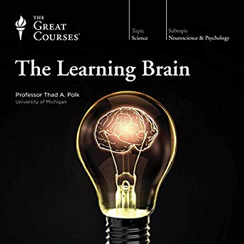 Постер Изучающий мозг