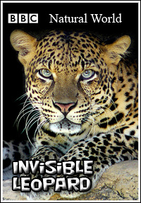 Постер Мир природы. Невидимый леопард