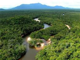 Скриншот 1 Удивительная амазонка: Южная Америка