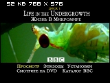 Скриншот 1 BBC: Жизнь в микромире