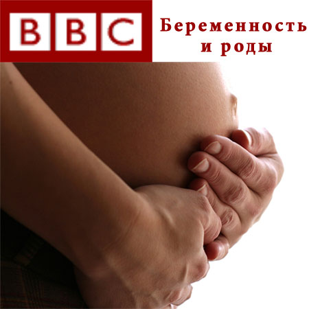 Постер Обыкновенное чудо BBC - Беременность и Роды