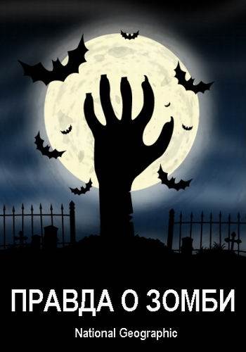 Постер Правда о зомби