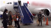 Скриншот 4 Служба безопасности аэропорта 3: Перу