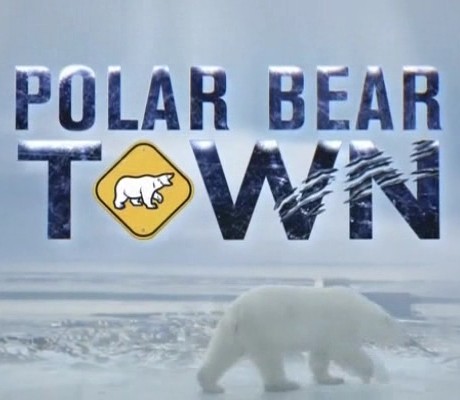Постер Город полярных медведей