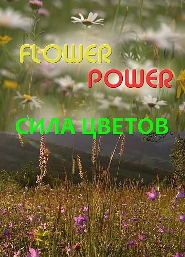Постер Сила цветов